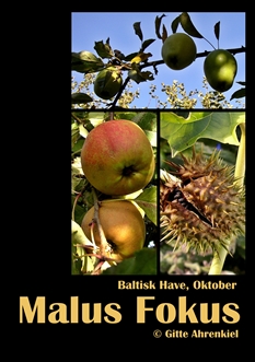 Baltisk Have - Oktober, Vol 3