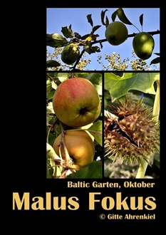 Baltic Garten - Oktober vol 3