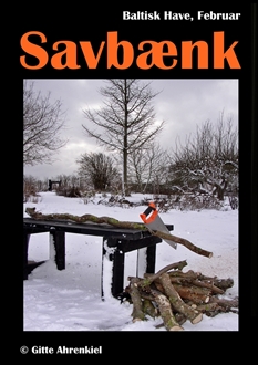 Baltisk Have - Februar, Vol 7